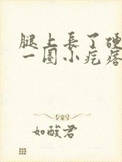 腿上长了硬币大一圈小疙瘩痒