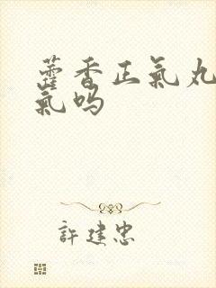 藿香正气丸除湿气吗