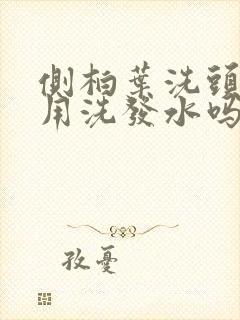 侧柏叶洗头发还用洗发水吗