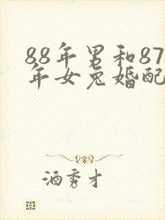 88年男和87年女兔婚配