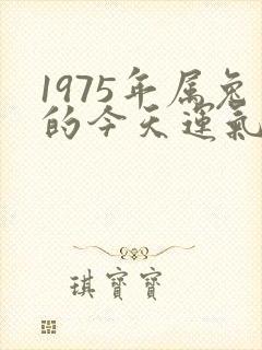 1975年属兔的今天运气怎么样