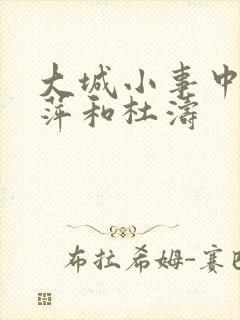 大城小事中李秋萍和杜涛封面