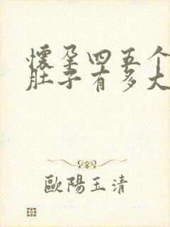 怀孕四五个月的肚子有多大