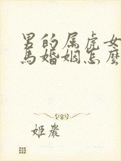 男的属虎女的属马婚姻怎么样