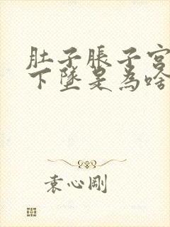 肚子胀子宫感觉下坠是为啥