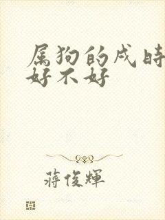 属狗的戌时出生好不好