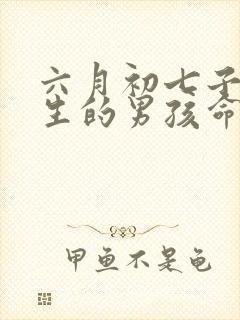 六月初七子时出生的男孩命运