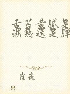 舌苔黄腻是肝胆湿热还是脾胃湿热