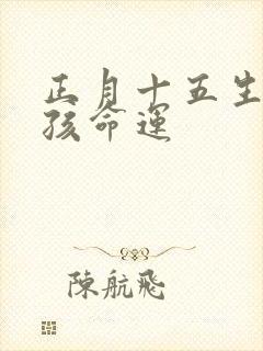 正月十五生的男孩命运封面