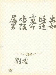 属鸡寅时出生的男孩命运如何