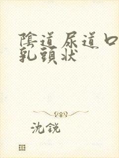 阴道尿道口长红乳头状