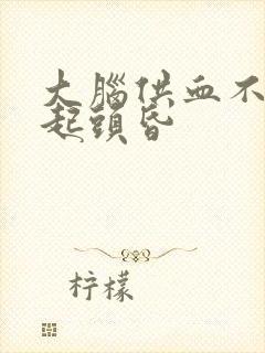 大脑供血不足引起头昏封面