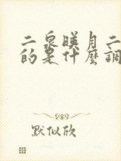 二泉映月二胡用的是什么调