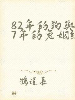 82年的狗与87年的兔姻缘