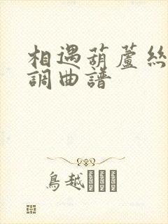 相遇葫芦丝降b调曲谱封面