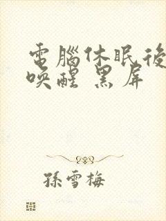 电脑休眠后无法唤醒 黑屏