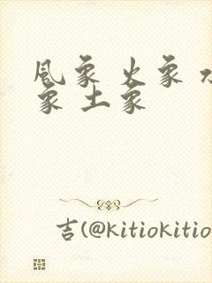 风象 火象 水象 土象