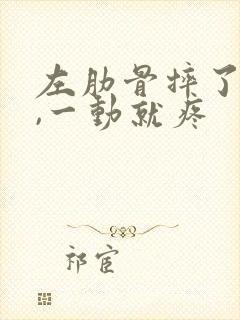 左肋骨摔了一下,一动就疼