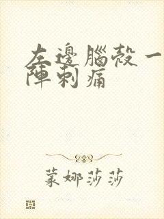 左边脑壳一阵一阵刺痛