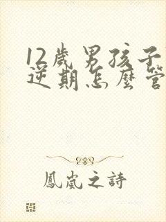 12岁男孩子叛逆期怎么管教