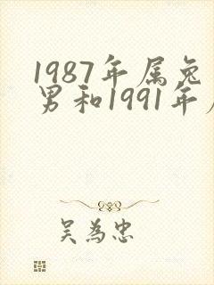 1987年属兔男和1991年属羊女婚配