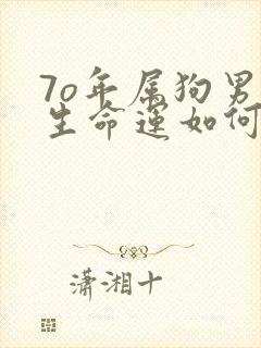 7o年属狗男一生命运如何封面