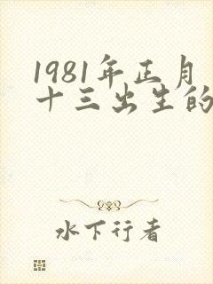 1981年正月十三出生的女人的命运