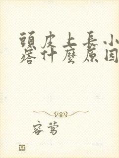 头皮上长小红疙瘩什么原因