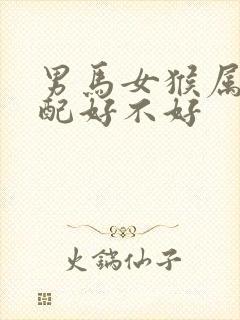 男马女猴属相婚配好不好封面