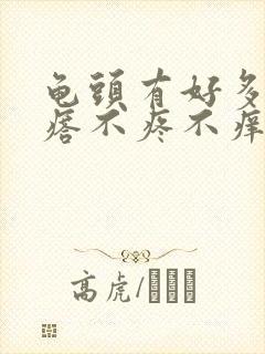 龟头有好多小疙瘩不疼不痒