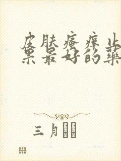 皮肤瘙痒止痒效果最好的药膏