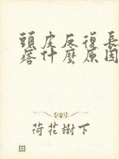 头皮反复长红疙瘩什么原因