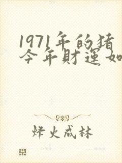 1971年的猪今年财运如何