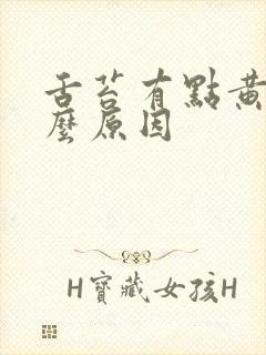 舌苔有点黄是什么原因封面