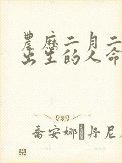 农历二月二十七出生的人命运