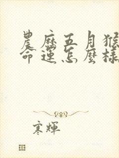 农历五月猴男的命运怎么样