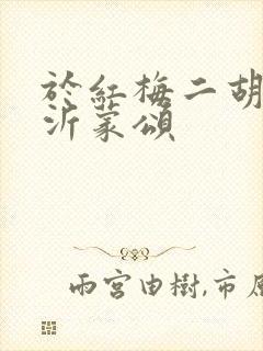 于红梅二胡演奏沂蒙颂封面