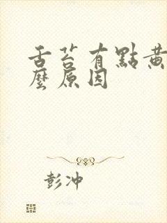 舌苔有点黄是什么原因