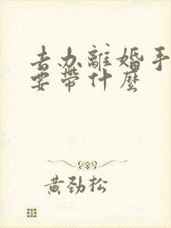 去办离婚手续需要带什么