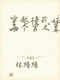 穿越后我嫁给了两个男人暮色酒歌封面