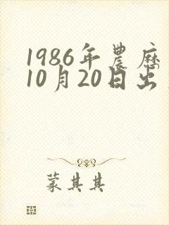 1986年农历10月20日出生人命运