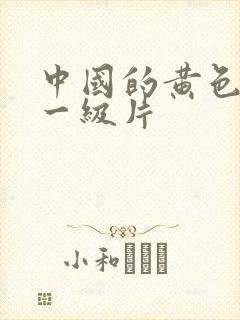 中国的黄色录像一级片