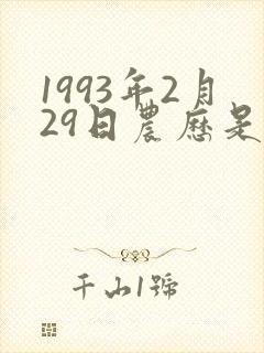 1993年2月29日农历是什么命