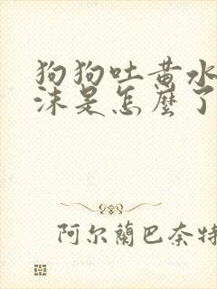 狗狗吐黄水带泡沫是怎么了