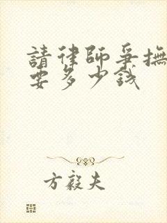 请律师争抚养权要多少钱封面