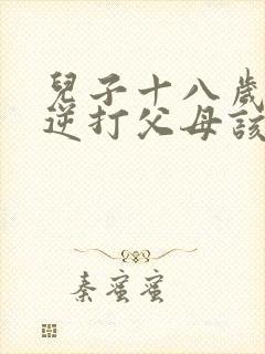 儿子十八岁了叛逆打父母该怎么办封面