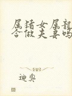 属猪女属龙男适合做夫妻吗