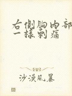 右侧胸内部针扎一样刺痛