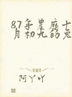 87年农历十一月初九的兔命好不好