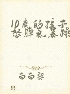 10岁的孩子易怒脾气暴躁还偏激